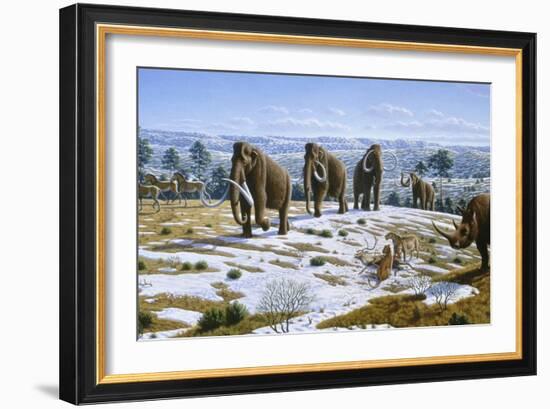 Mammals of the Pleistocene Era-Mauricio Anton-Framed Photographic Print