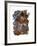 Mammals-Wendy Edelson-Framed Giclee Print