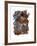 Mammals-Wendy Edelson-Framed Giclee Print