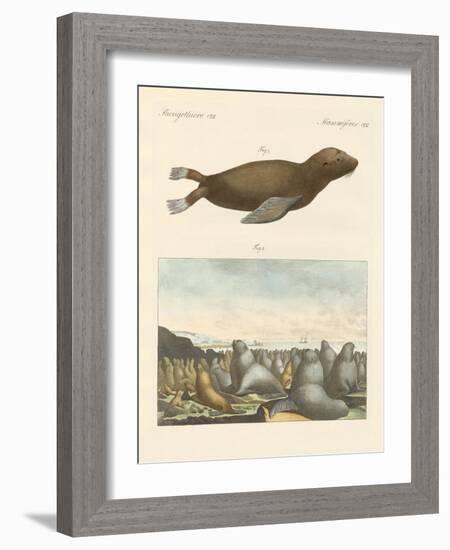 Mammals-null-Framed Giclee Print