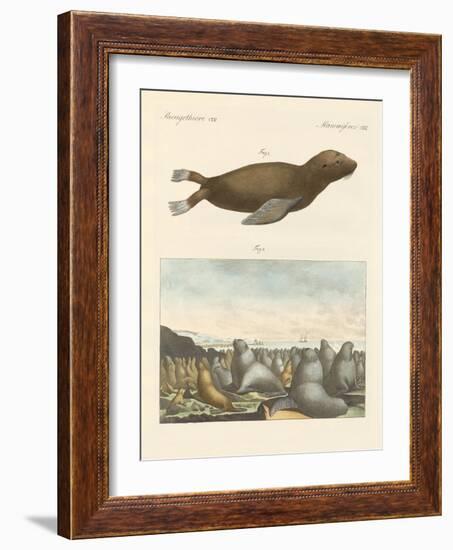 Mammals-null-Framed Giclee Print