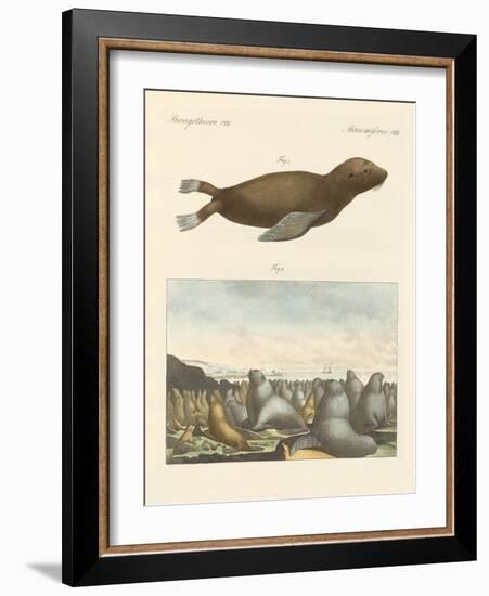 Mammals-null-Framed Giclee Print