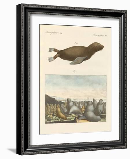 Mammals-null-Framed Giclee Print