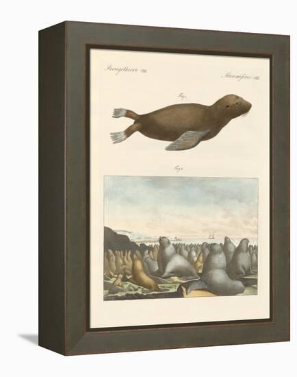 Mammals-null-Framed Premier Image Canvas