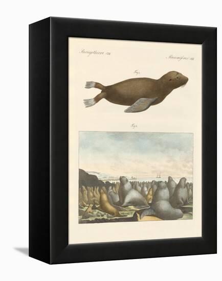 Mammals-null-Framed Premier Image Canvas