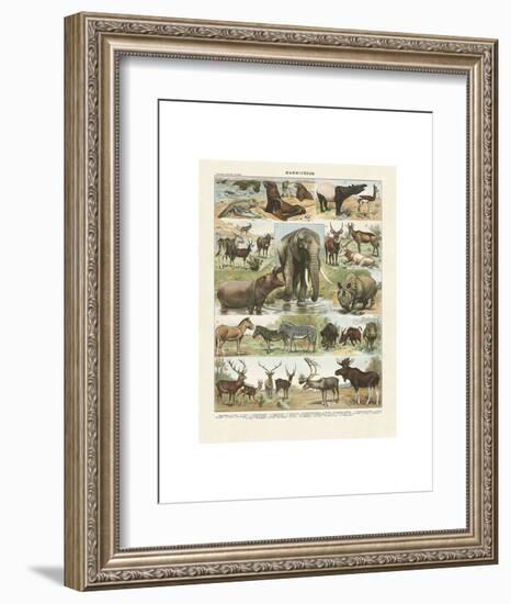 Mammiferes II-Adolphe Millot-Framed Art Print