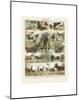 Mammiferes II-Adolphe Millot-Mounted Art Print