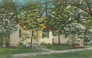 Mammoth Cave National Park Art For Sale Prints Paintings