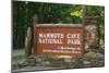 Mammoth Cave, Kentucky - Entrance-Lantern Press-Mounted Art Print