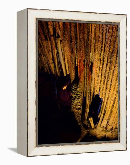 Mammoth Cave National Park, Kentucky, USA-Anna Miller-Framed Premier Image Canvas