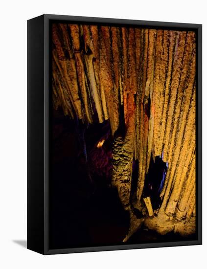Mammoth Cave National Park, Kentucky, USA-Anna Miller-Framed Premier Image Canvas