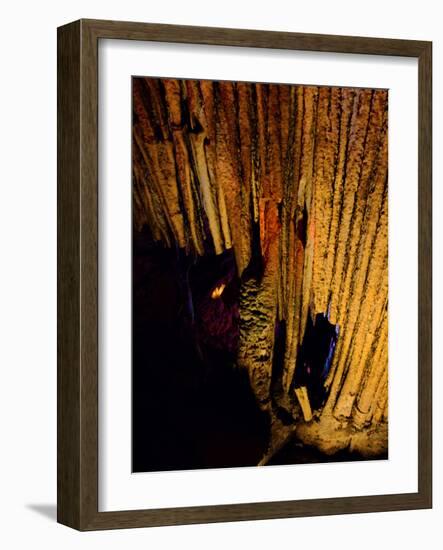 Mammoth Cave National Park, Kentucky, USA-Anna Miller-Framed Photographic Print