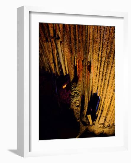 Mammoth Cave National Park, Kentucky, USA-Anna Miller-Framed Photographic Print