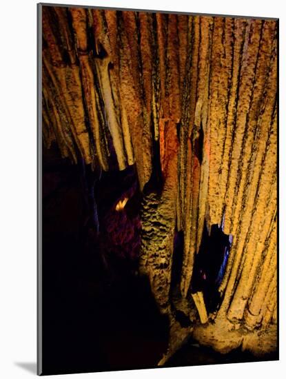 Mammoth Cave National Park, Kentucky, USA-Anna Miller-Mounted Photographic Print