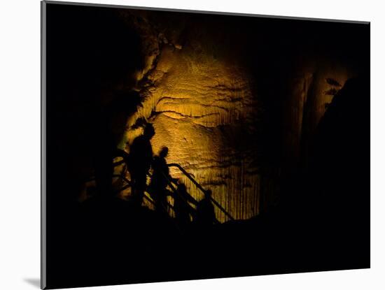 Mammoth Cave National Park, Kentucky, USA-Anna Miller-Mounted Photographic Print