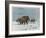 Mammoth Herd During the Ice Age-Wilhelm Kuhnert-Framed Art Print