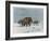 Mammoth Herd During the Ice Age-Wilhelm Kuhnert-Framed Art Print