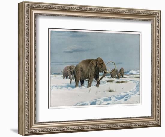 Mammoth Herd During the Ice Age-Wilhelm Kuhnert-Framed Art Print