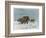 Mammoth Herd During the Ice Age-Wilhelm Kuhnert-Framed Art Print