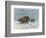 Mammoth Herd During the Ice Age-Wilhelm Kuhnert-Framed Art Print