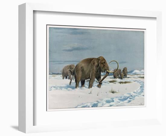 Mammoth Herd During the Ice Age-Wilhelm Kuhnert-Framed Art Print