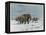 Mammoth Herd During the Ice Age-Wilhelm Kuhnert-Framed Stretched Canvas