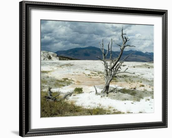 Mammoth Hot Springs, Yellowstone National Park, Unesco World Heritage Site, Wyoming, USA-Ethel Davies-Framed Photographic Print