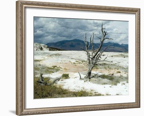 Mammoth Hot Springs, Yellowstone National Park, Unesco World Heritage Site, Wyoming, USA-Ethel Davies-Framed Photographic Print