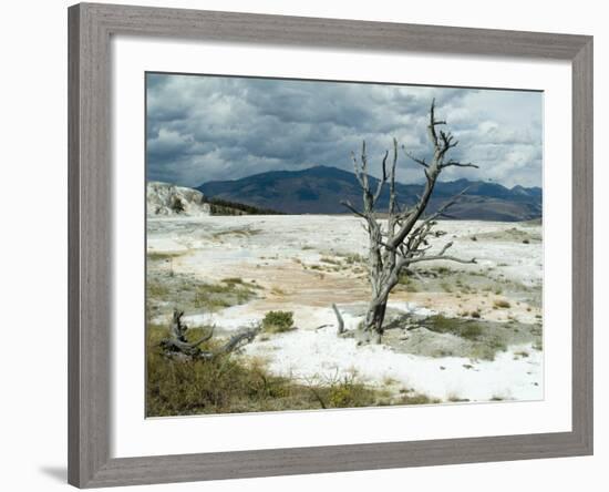 Mammoth Hot Springs, Yellowstone National Park, Unesco World Heritage Site, Wyoming, USA-Ethel Davies-Framed Photographic Print