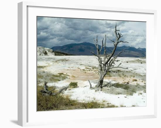 Mammoth Hot Springs, Yellowstone National Park, Unesco World Heritage Site, Wyoming, USA-Ethel Davies-Framed Photographic Print