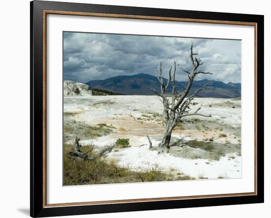 Mammoth Hot Springs, Yellowstone National Park, Unesco World Heritage Site, Wyoming, USA-Ethel Davies-Framed Photographic Print