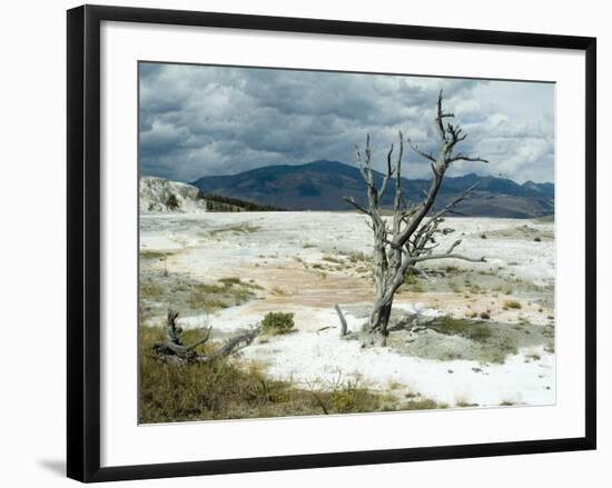 Mammoth Hot Springs, Yellowstone National Park, Unesco World Heritage Site, Wyoming, USA-Ethel Davies-Framed Photographic Print