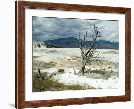 Mammoth Hot Springs, Yellowstone National Park, Unesco World Heritage Site, Wyoming, USA-Ethel Davies-Framed Photographic Print