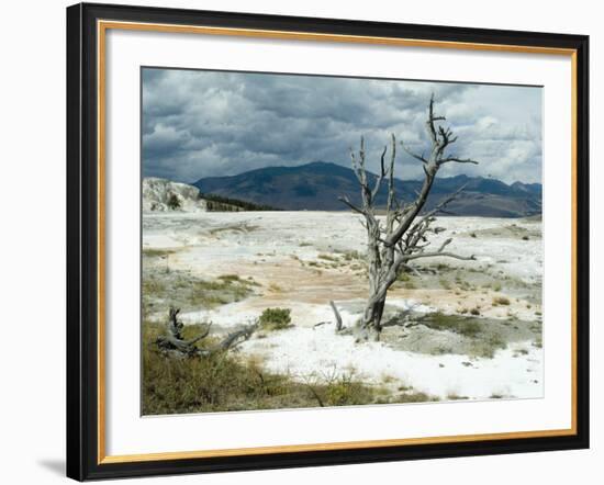 Mammoth Hot Springs, Yellowstone National Park, Unesco World Heritage Site, Wyoming, USA-Ethel Davies-Framed Photographic Print