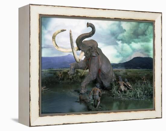 Mammoth Hunt, Lower Paleolithic era, Reconstruction-null-Framed Premier Image Canvas
