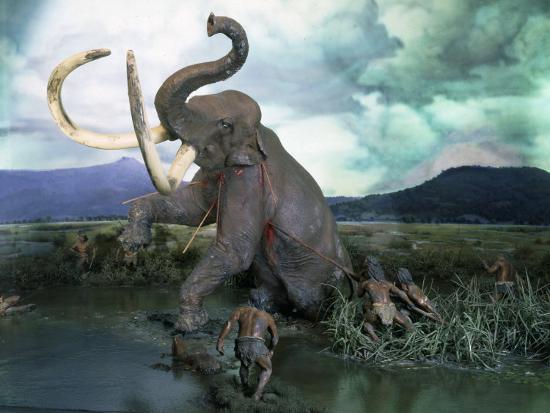Mammoth Hunt Lower Paleolithic Era Reconstruction Photographic Print Art Com