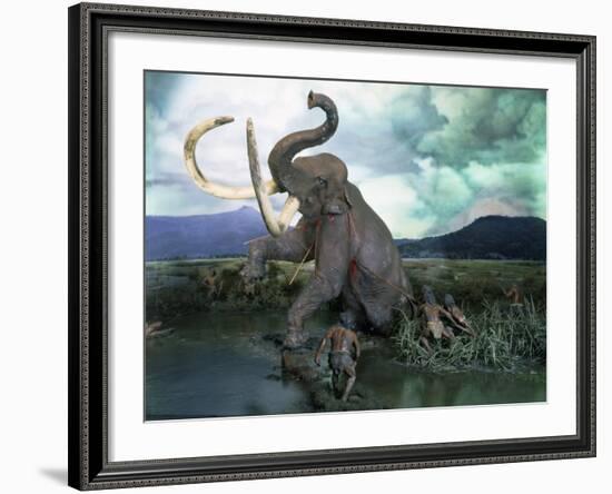 Mammoth Hunt, Lower Paleolithic era, Reconstruction-null-Framed Photographic Print