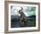 Mammoth Hunt, Lower Paleolithic era, Reconstruction-null-Framed Photographic Print