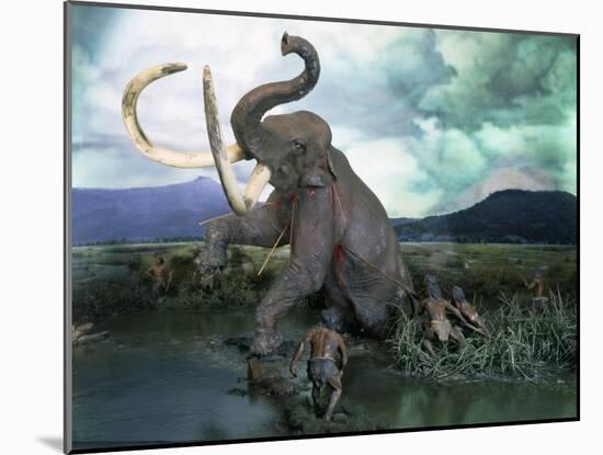 Mammoth Hunt, Lower Paleolithic era, Reconstruction-null-Mounted Photographic Print