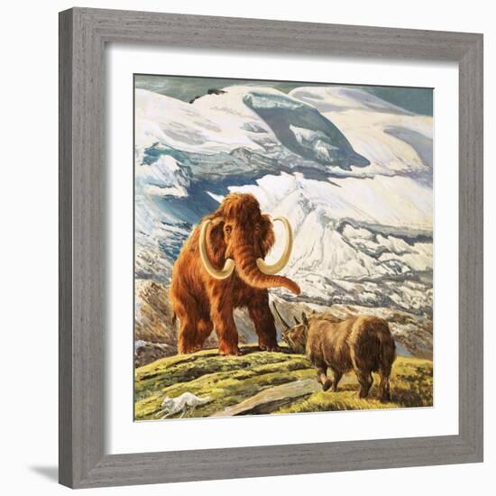 Mammoth Meets Rhinocerous-Tansley-Framed Giclee Print