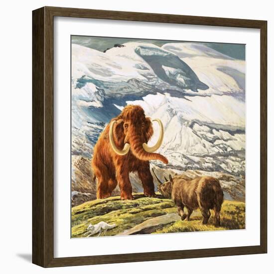 Mammoth Meets Rhinocerous-Tansley-Framed Giclee Print