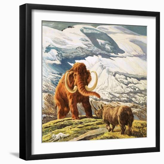 Mammoth Meets Rhinocerous-Tansley-Framed Giclee Print