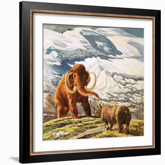 Mammoth Meets Rhinocerous-Tansley-Framed Giclee Print