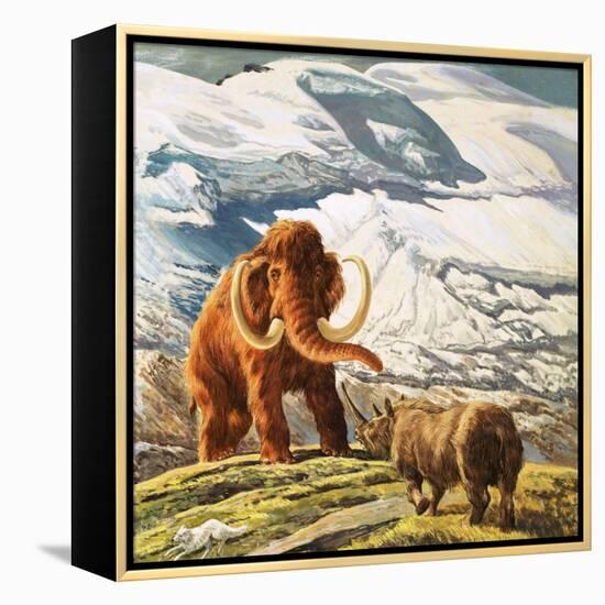 Mammoth Meets Rhinocerous-Tansley-Framed Premier Image Canvas
