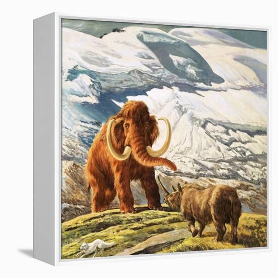 Mammoth Meets Rhinocerous-Tansley-Framed Premier Image Canvas