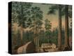 Stretched Canvas Print