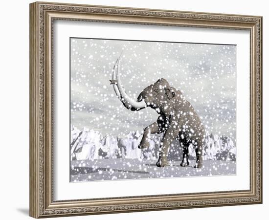 Mammoth Walking Through a Blizzard on Mountain-null-Framed Art Print