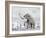 Mammoth Walking Through a Blizzard on Mountain-null-Framed Art Print