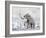 Mammoth Walking Through a Blizzard on Mountain-null-Framed Art Print