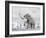 Mammoth Walking Through a Blizzard on Mountain-null-Framed Art Print